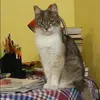 Отзыв от Алена Корнеева
